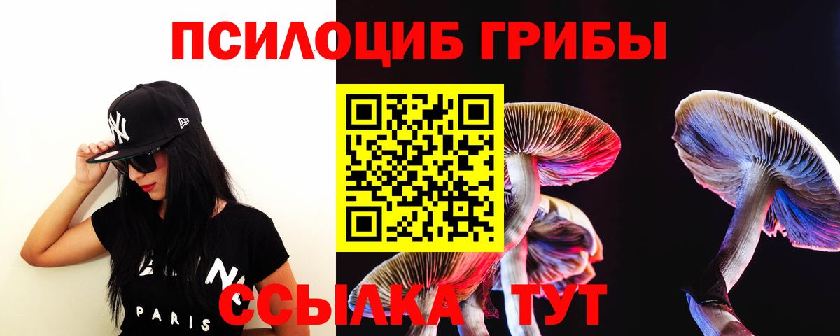Псилоцибиновые грибы MAGIC MUSHROOMS Алексеевка